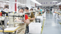 Fábrica de bolsos Milestone